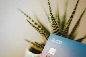 Program partnerski Revolut – jak zarabiać na promowaniu fintechu?