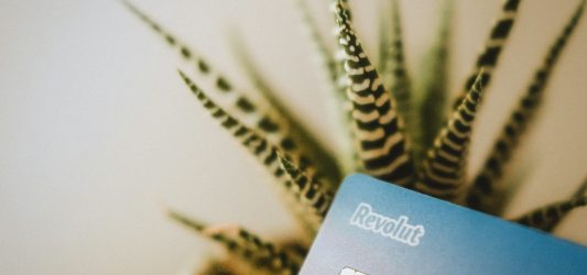 Program partnerski Revolut – jak zarabiać na promowaniu fintechu?